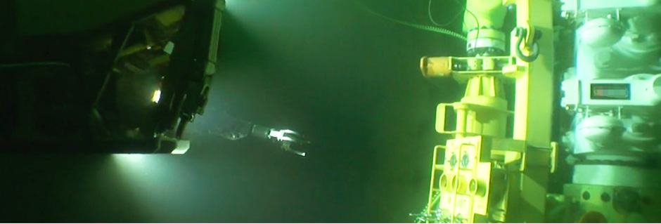 ROV PADDLE VALVES